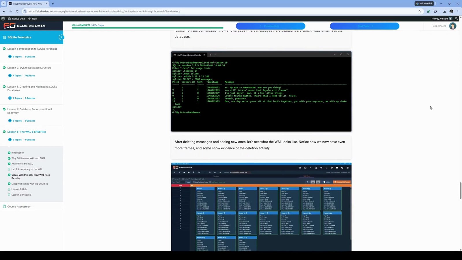 WAL and SHM analysis in SQLite Forensics On-Demand