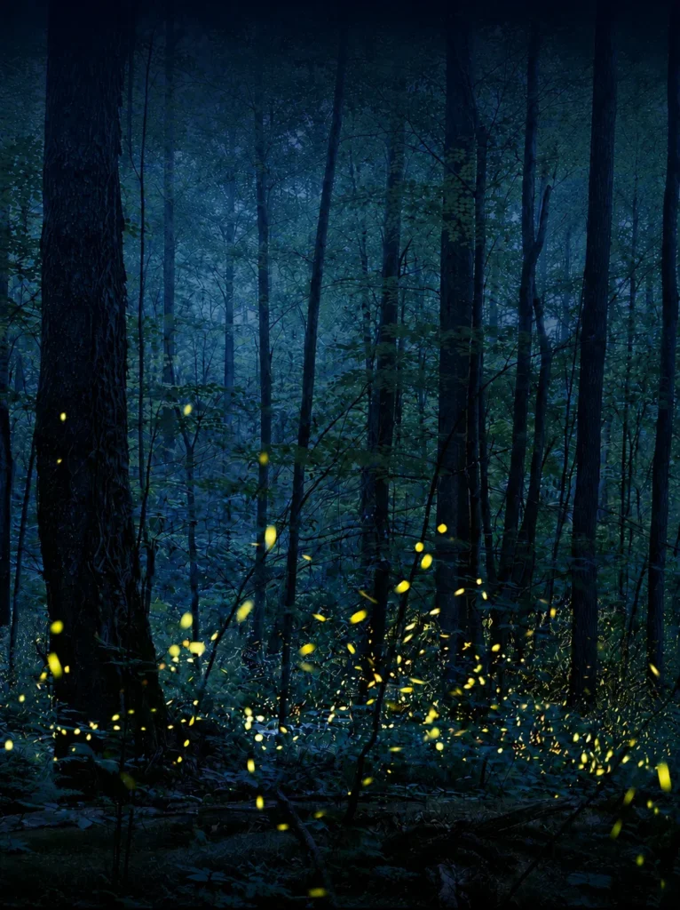 Elusive Data Firefly forensic workspace showing modern app-data evidence and source validation workflow