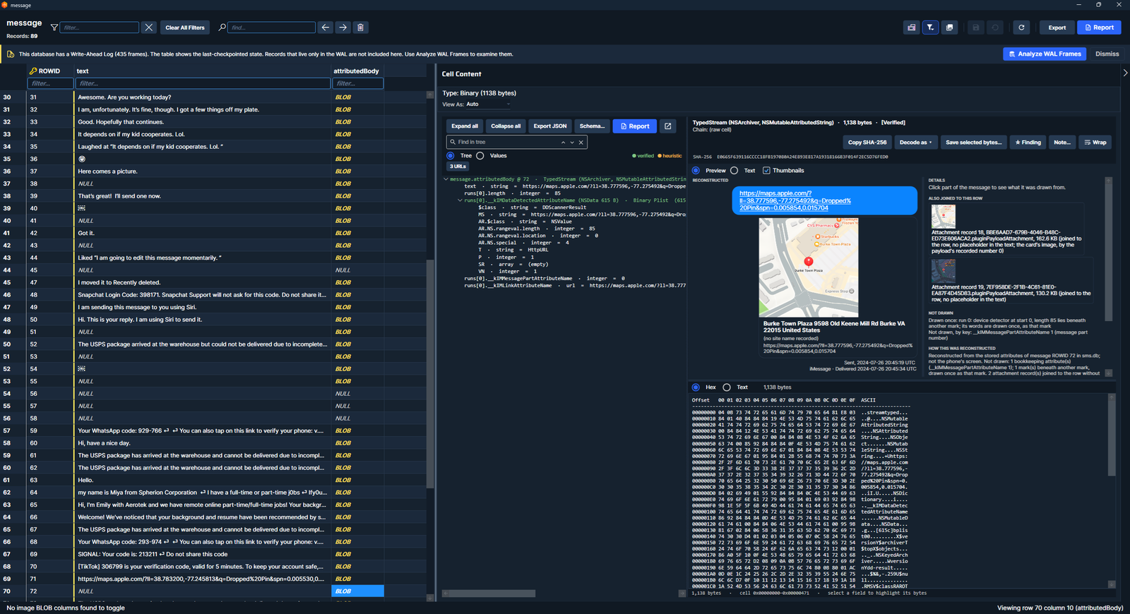 Firefly Apple TypedStream and Message Preview showing stored message data and reconstructed content